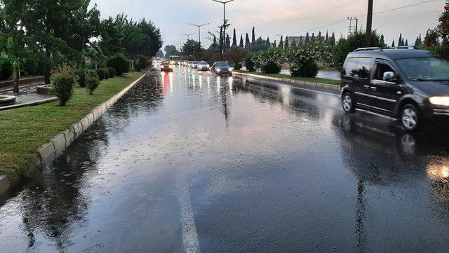 Sağanak ağaçları ve elektrik direklerini devirdi