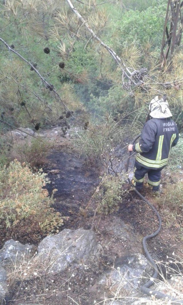 Hurdacılar ormanı yaktı