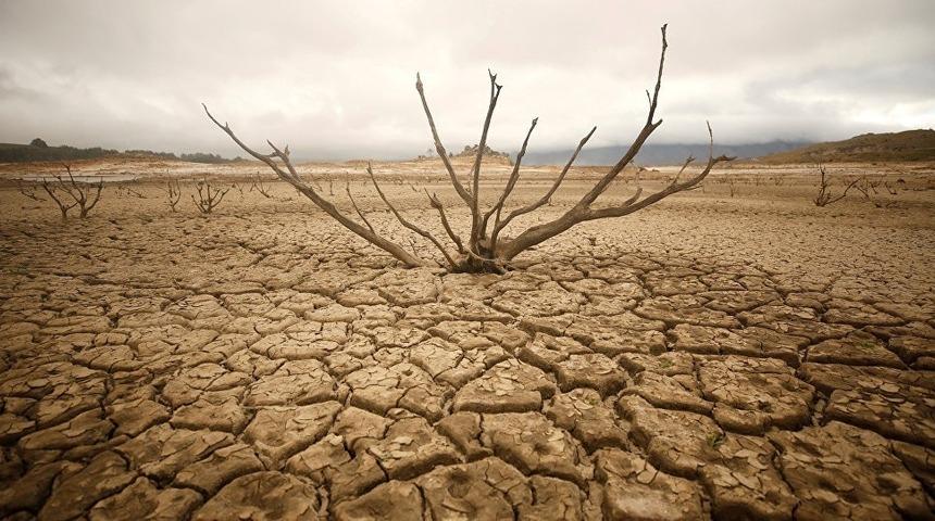 Aydın TEMA erozyon ve &ccedil;&ouml;lleşmeyle m&uuml;cadeleye dikkat &ccedil;ekti