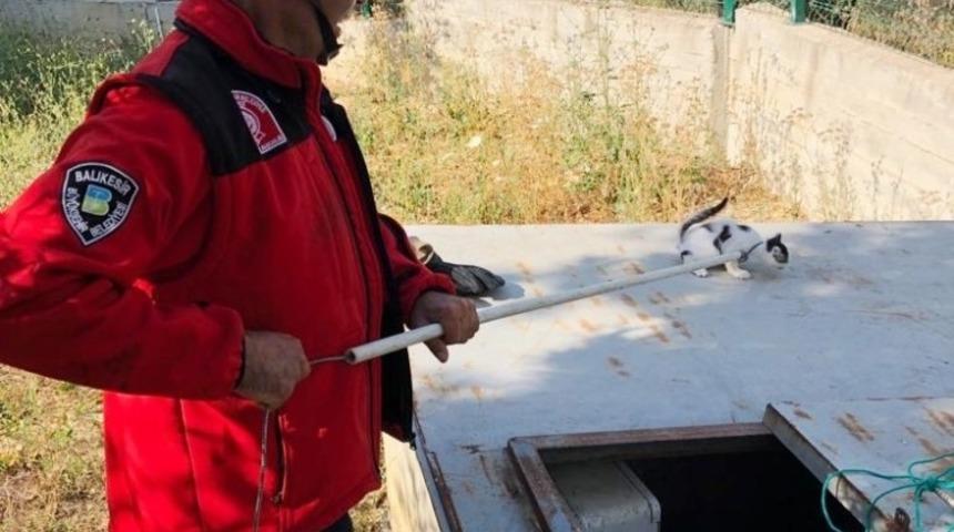 Burhaniye&rsquo;de su deposuna d&uuml;şen kediyi itfaiye kurtardı