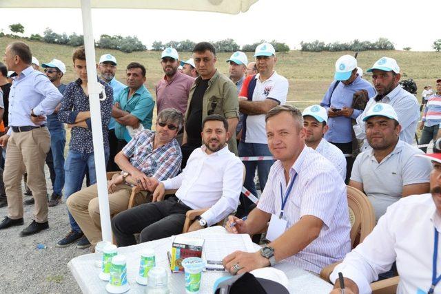 Nevşehir Belediye Başkanı Rasim Arı, Acıgöl’de Trap atışları festivaline katıldı