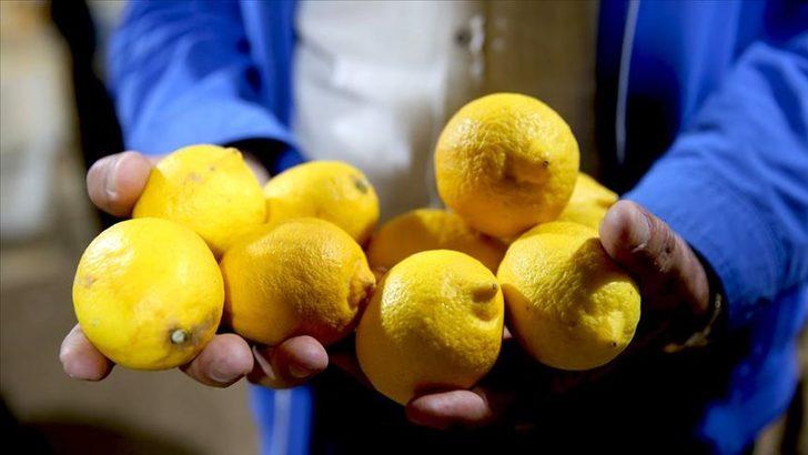  Limon fiyatlarına depoda 'çürüme' etkisi
