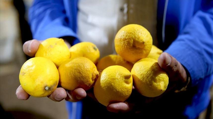 Üretici  ve market fiyatları arasında uçurum: Yüzde 634,4 farkla rekor limonda!