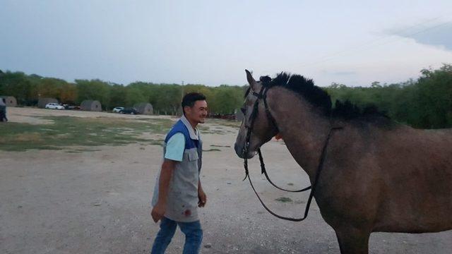 Evcilleştirdiği Yılkı Atı İle Arkadaş Oldu