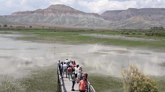 Nallıhan Kuş Cenneti&rsquo;ne yoğun ilgi 2