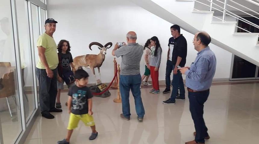 Nallıhan Kuş Cenneti&rsquo;ne yoğun ilgi