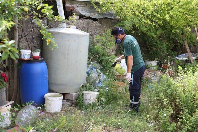 Kocaeli’de vektörle mücadele çalışmaları sürüyor