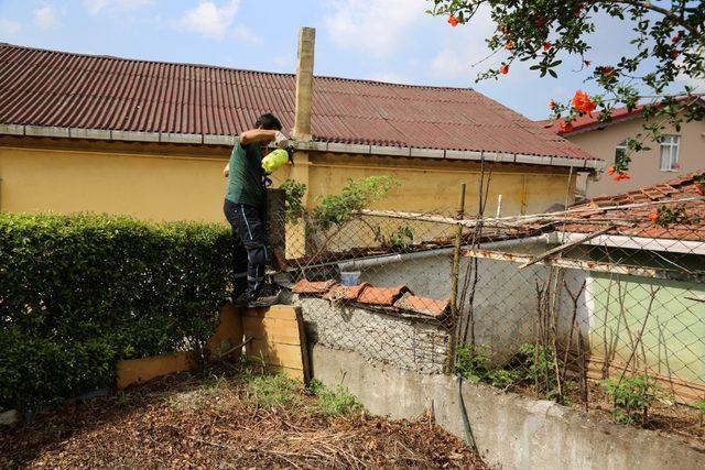 Kocaeli’de vektörle mücadele çalışmaları sürüyor