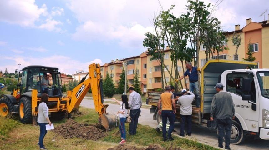 Emet Belediyesi&rsquo;nden &ccedil;evre d&uuml;zenleme &ccedil;alışmaları