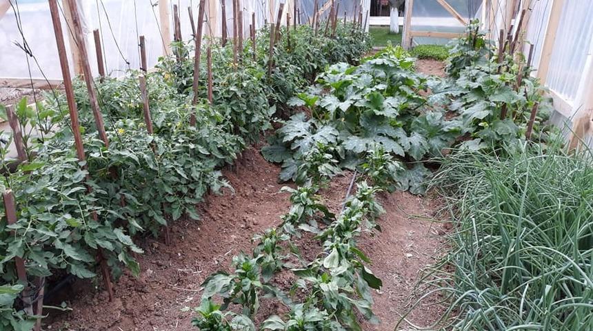 Kaymakam, lojmanın bahçesine kurduğu sera ile topluma mesaj verdi
