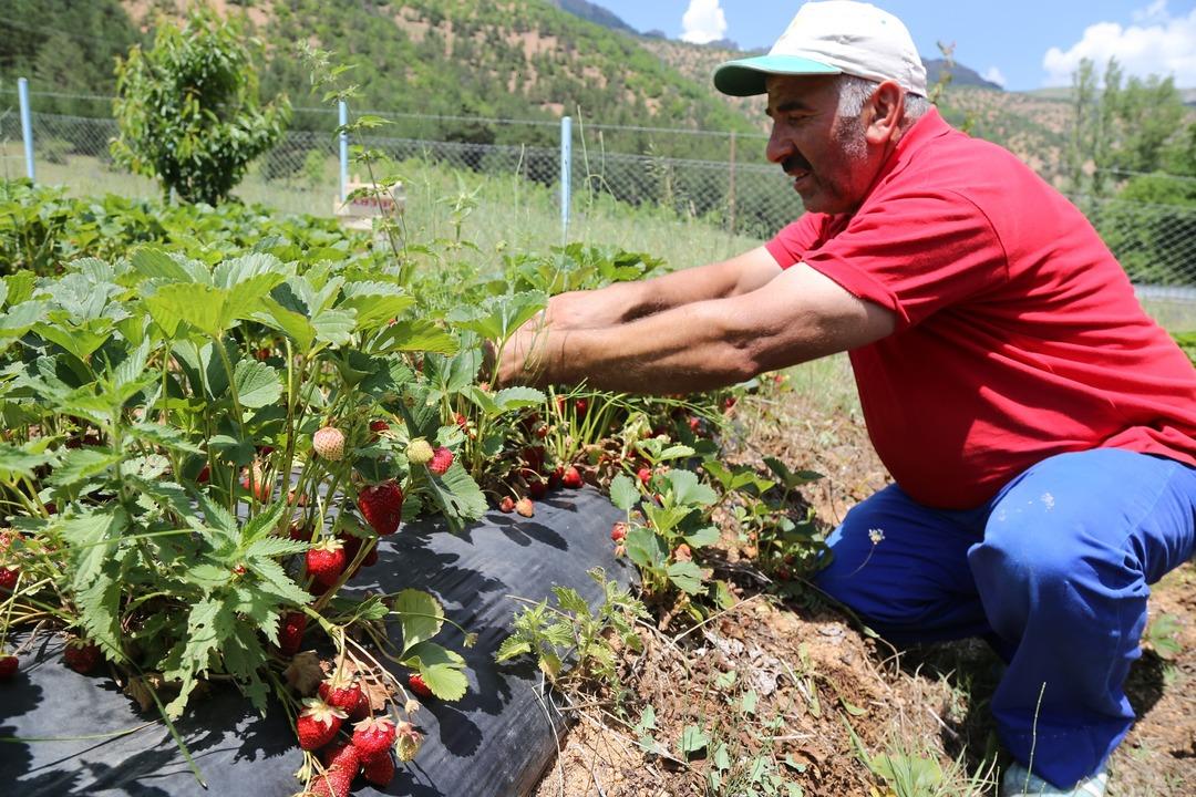Tavsiye &uuml;zerine başladılar şimdi siparişlere yetişemiyorlar