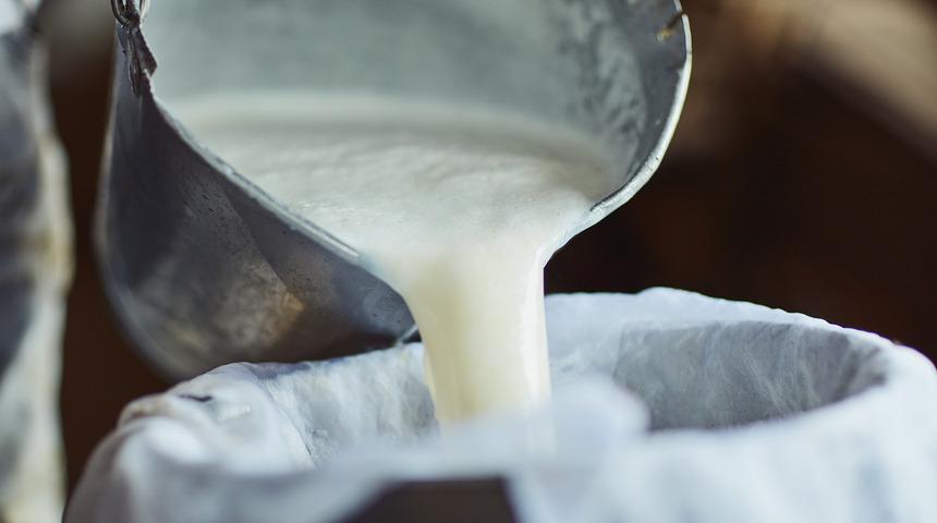 Sağlığınızdan olmayın: Çiğ sütün zararları nelerdir?