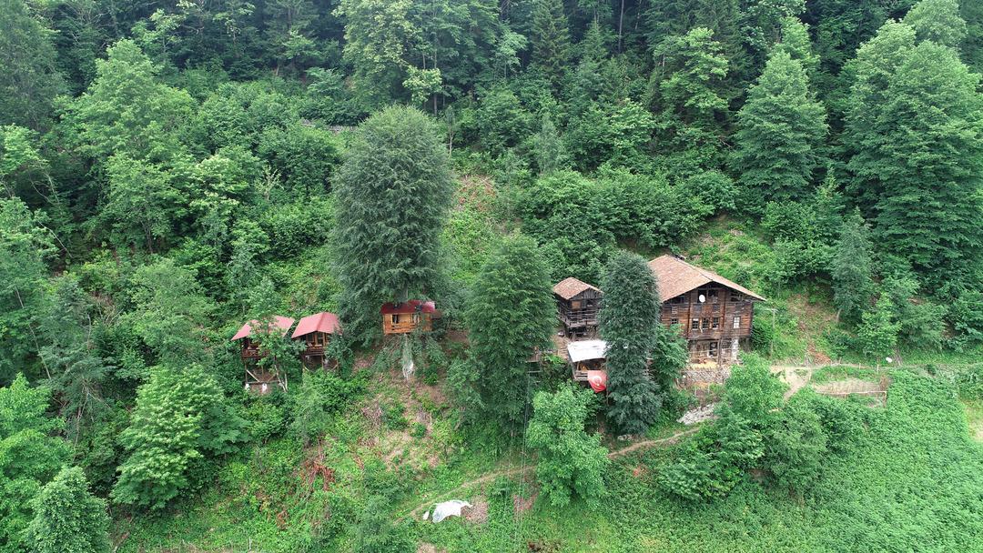 Bu ağa&ccedil; eve 500 metrelik teleferikle ulaşılıyor