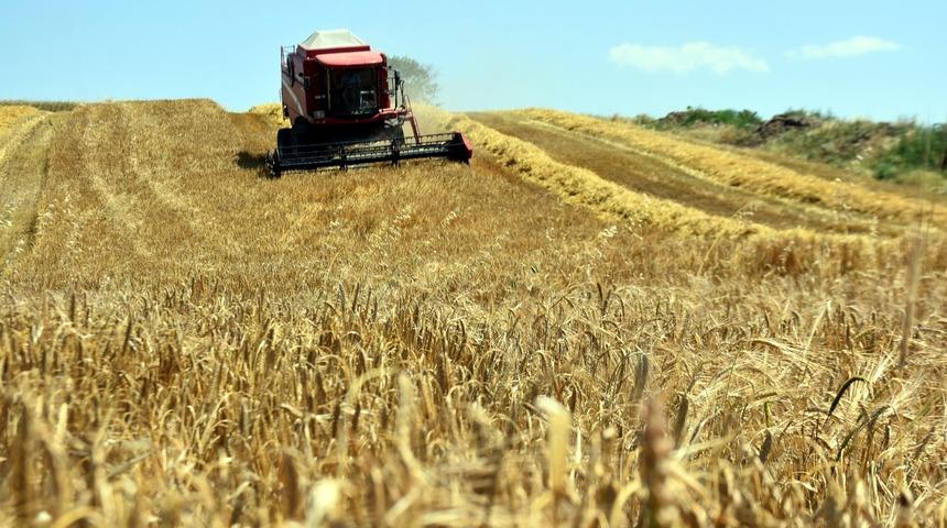 Edirne'de verimi yüzde 30 artan arpa çiftçinin yüzünü güldürdü