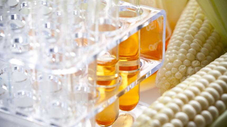 Y&uuml;ksek fruktozlu mısır şurubu diğer şekerlerden daha mı tehlikeli?