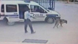 Köpeği vuran komiser FETÖ'cü çıktı