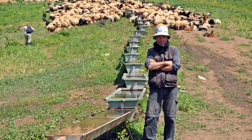  İran’dan gelip Yüksekova’da ayda 3 bin 400 TL’ye çoban oldu