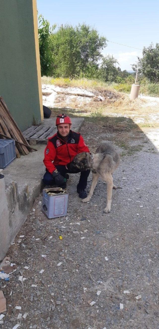 Başına teneke sıkışan köpeği itfaiye kurtardı