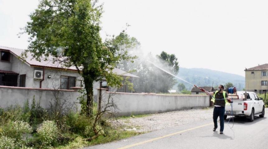 Yeşil alanlar ila&ccedil;landı