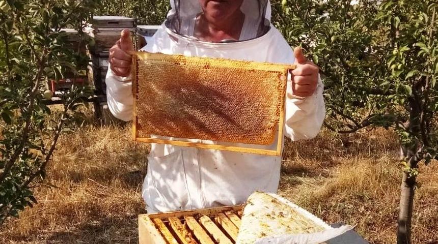 Hisarcıklı arıcıların y&uuml;ksek bal &uuml;retimi beklentisi