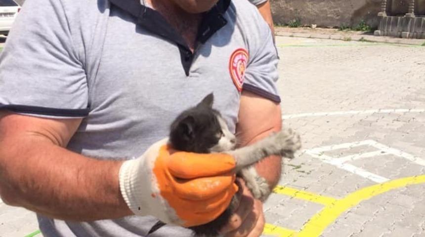 Aracın motor kısmına giren kedi itfaiye ekipleri tarafından &ccedil;ıkarıldı