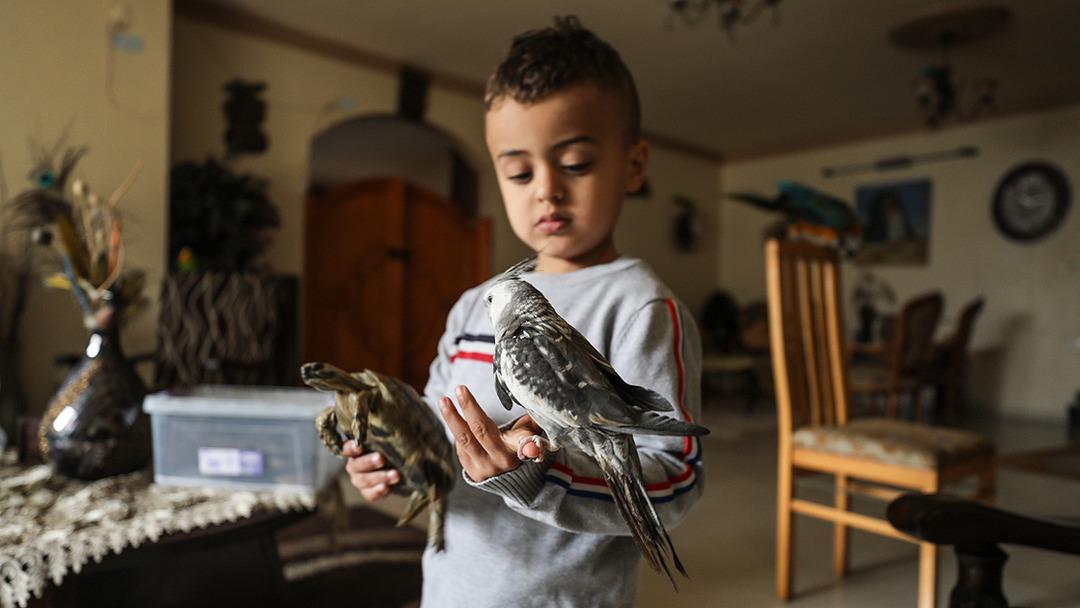 Evini hayvanat bah&ccedil;esine d&ouml;n&uuml;şt&uuml;rd&uuml;