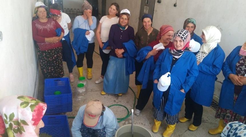 &rsquo;Kadın &Ccedil;ift&ccedil;iler Tarımsal Yeniliklerle Buluşuyor&rsquo; programı uygulamaya ge&ccedil;irildi