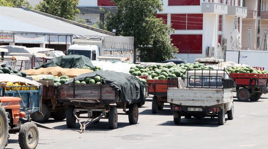 Antalya'da karpuz 30 kuruşa alıcı bulamıyor