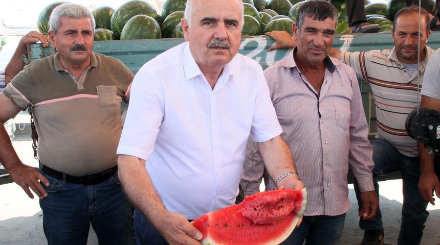 Antalya'da karpuz 30 kuruşa alıcı bulamıyor