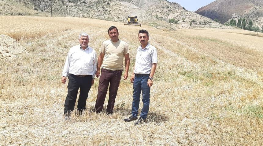 Sungurlu&rsquo;da buğday hasadı başladı