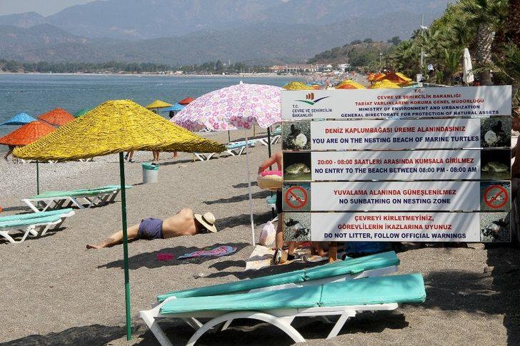 Carettalar kıyılara yumurta bırakmaya başladı G1