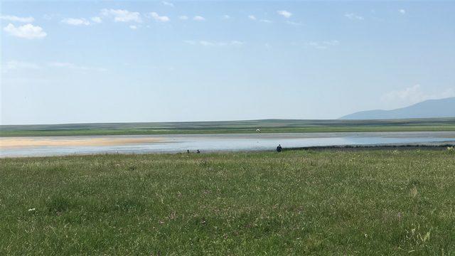 Kuruyan, Kuyucuk Kuş Cenneti&rsquo;nde Kuş Festivali 1