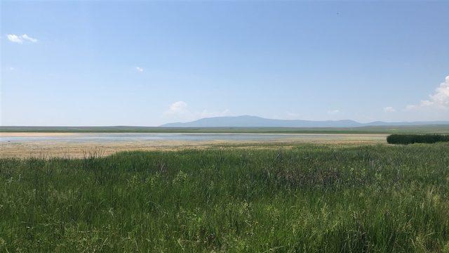 Kuruyan, Kuyucuk Kuş Cenneti&rsquo;nde Kuş Festivali 2