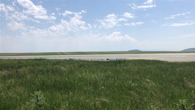 Kuruyan, Kuyucuk Kuş Cenneti&rsquo;nde Kuş Festivali 3