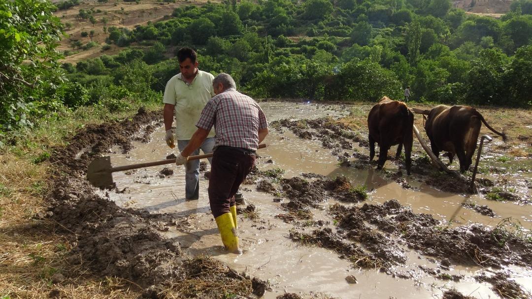 Bir k&ouml;y bu işle ge&ccedil;imini sağlıyor! &Ccedil;amurun i&ccedil;inde...