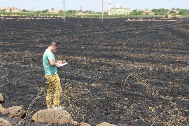 Diyarbakırlı çiftçilere, anız yangınıyla ilgili uyarı bildirisi