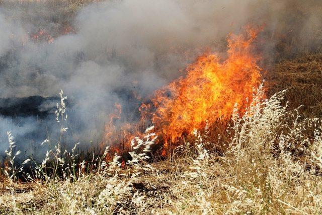 Diyarbakırlı çiftçilere, anız yangınıyla ilgili uyarı bildirisi