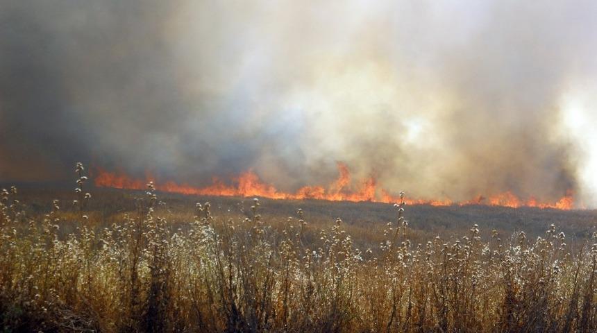 Diyarbakırlı &ccedil;ift&ccedil;ilere, anız yangınıyla ilgili uyarı bildirisi