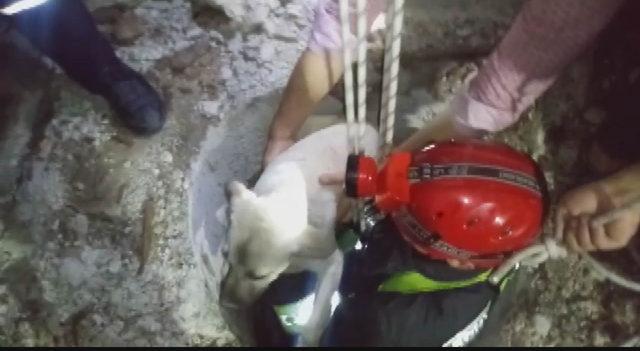 İtfaiye, 18 metre derinliğindeki kuyuya düşen köpeği kurtardı