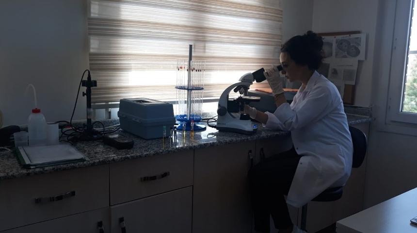 Vatandaşlara kaliteli i&ccedil;me suyu