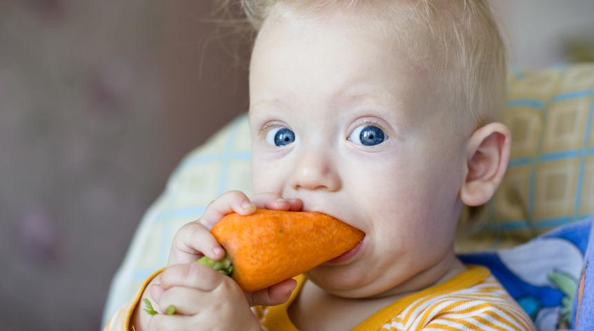 Havu&ccedil;, ayva gibi sert yiyecekleri 3 yaşından &ouml;nce eline vermeyin