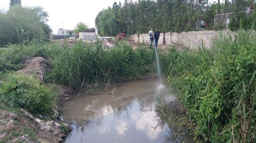 Germencik Belediyesi larvasit ilaçlamalarına devam ediyor
