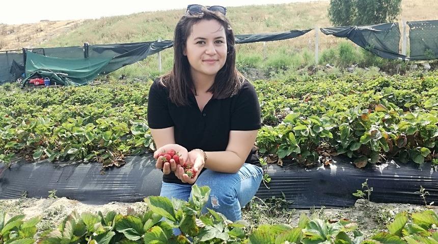Gen&ccedil; ziraat m&uuml;hendisi S&ouml;ke Ovası&rsquo;nda &ccedil;ilek &uuml;retti