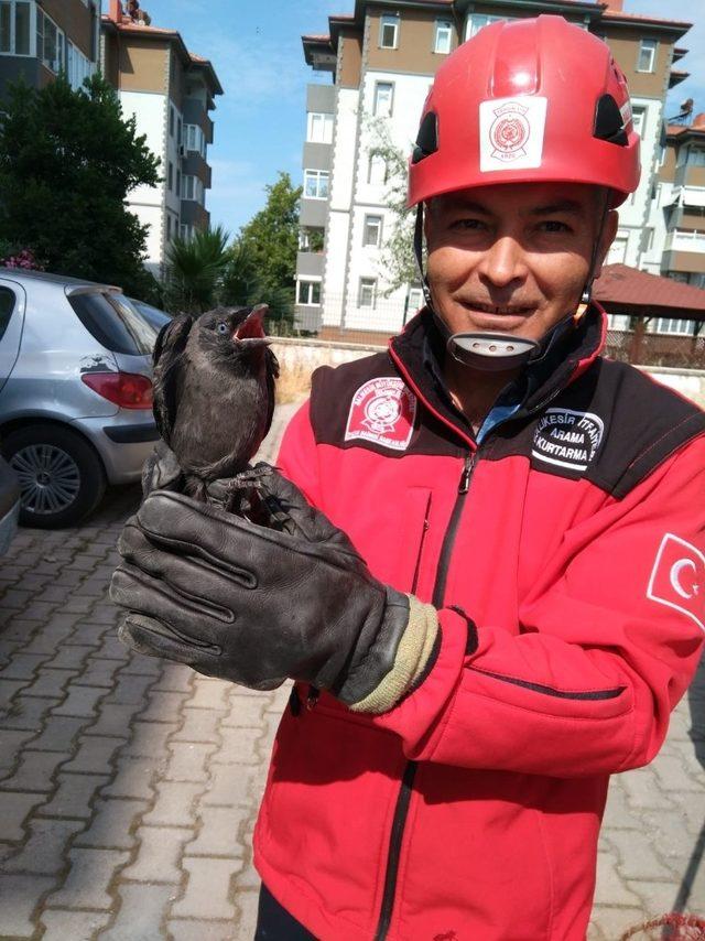 Yangın merdiveninde mahsur kalan kargayı itfaiye kurtardı