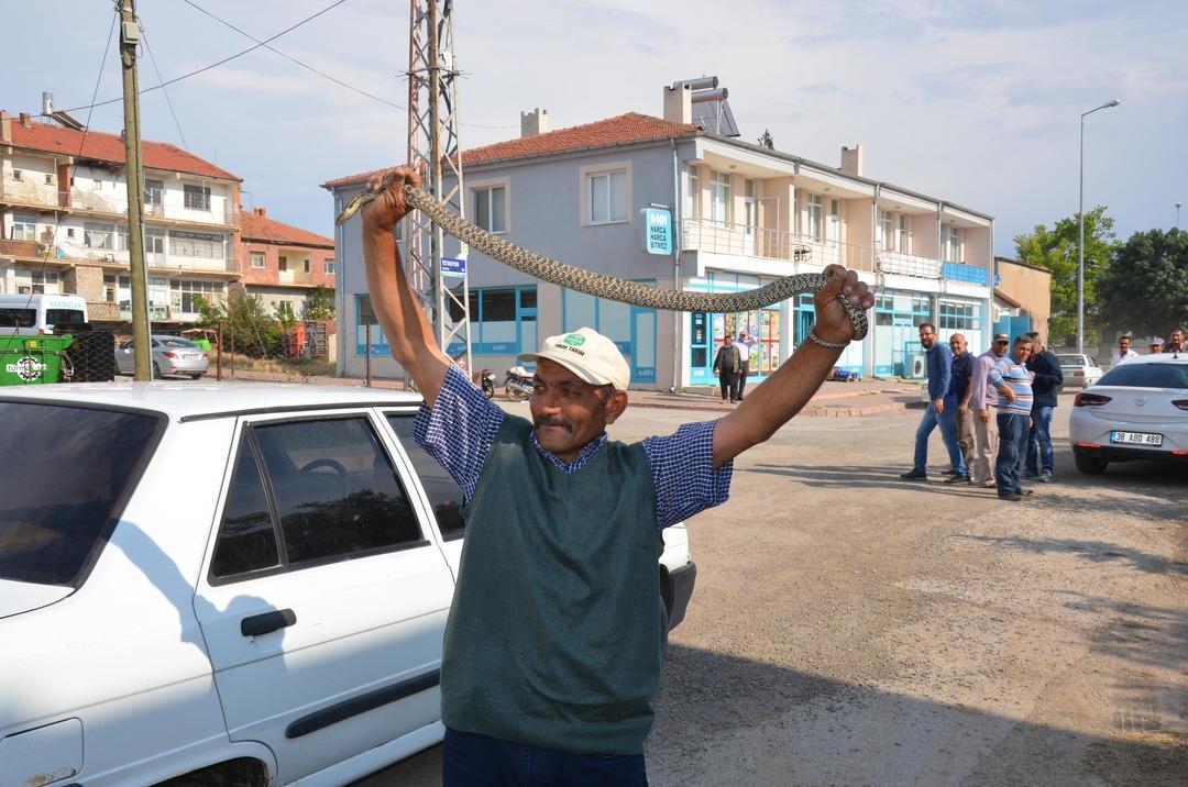 Yılanı tampondan elleriyle &ccedil;ıkardı!