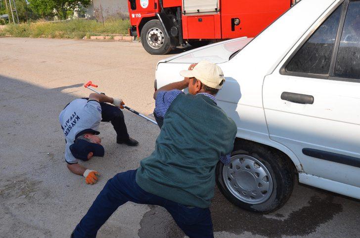 Yılanı tampondan elleriyle çıkardı! G2