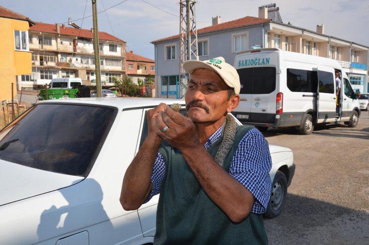 Yılanı tampondan elleriyle çıkardı! G5