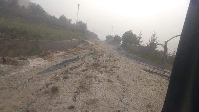 Ordu ve Giresun'da sağanak etkili oldu, dereler taştı