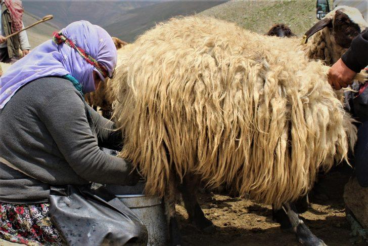 Son berivanların zorlu mesaisi G1