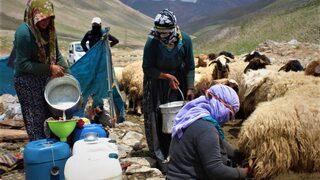 Son berivanların zorlu mesaisi